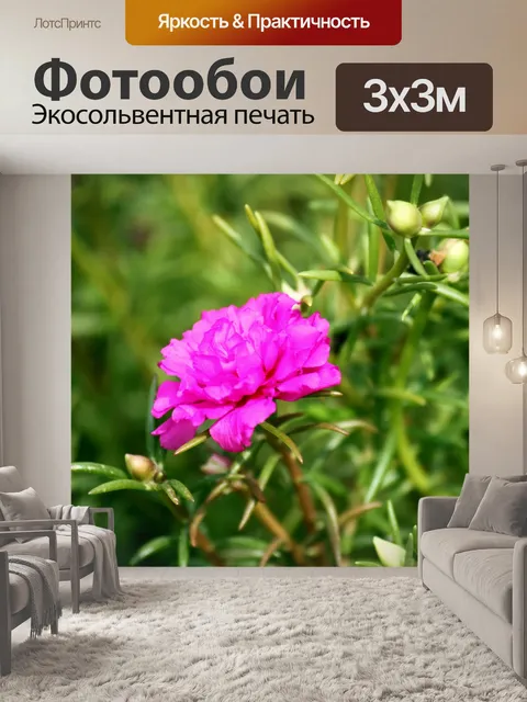 Фотообои розовые розы