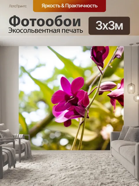 Фотообои Фиолетовые орхидеи