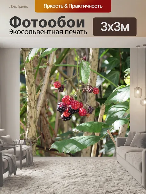 Фотообои Дикая малина