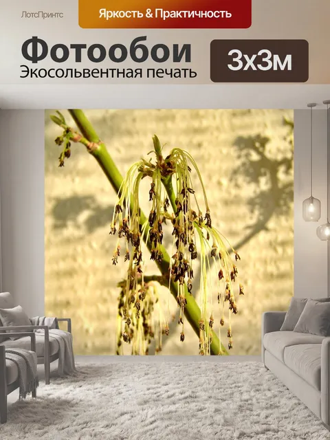 Фотообои Зеленый клен цветущая ветка