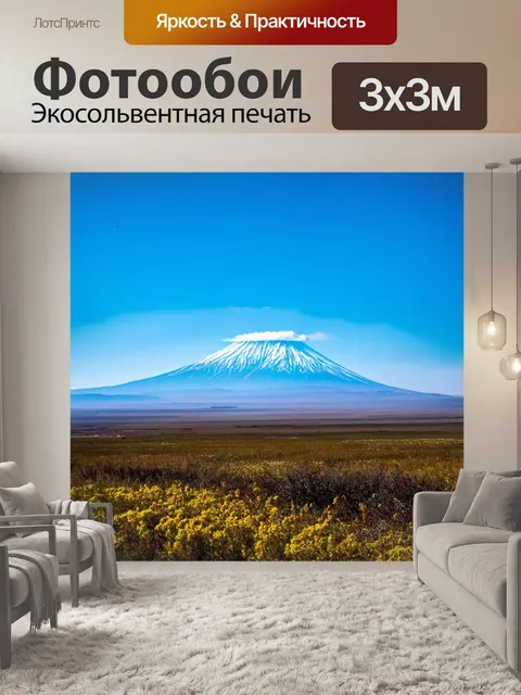 Фотообои горы арарат с видом на армению
