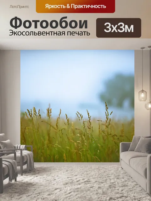Фотообои Утро