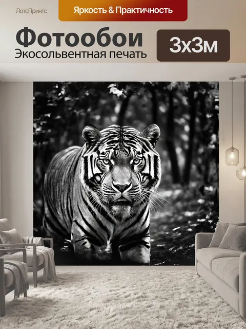 Фотообои взгляд тигра суматры со стороны, запечатленный в моменты опасности, полон силы и агрессии