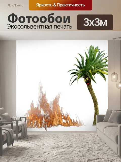 Фотообои Palm
