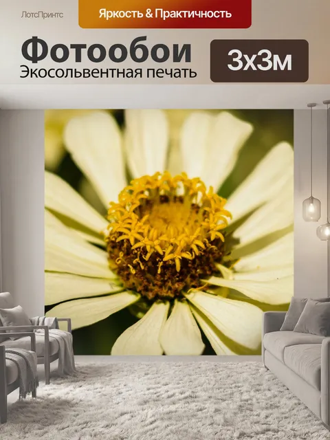 Фотообои красочный цветок макро выстрел