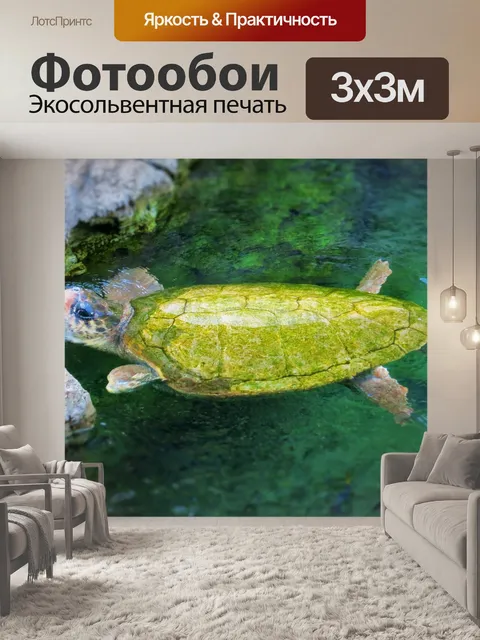 Фотообои Черепаха