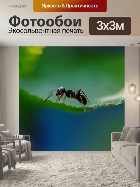 Фотообои Муравей