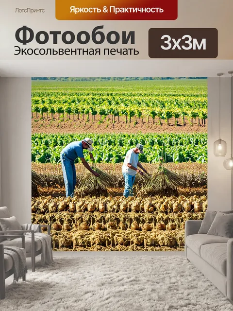 Фотообои природа в стиле двойная экспозиция, картофельное поле с наложением образов людей, занимающихся сбором