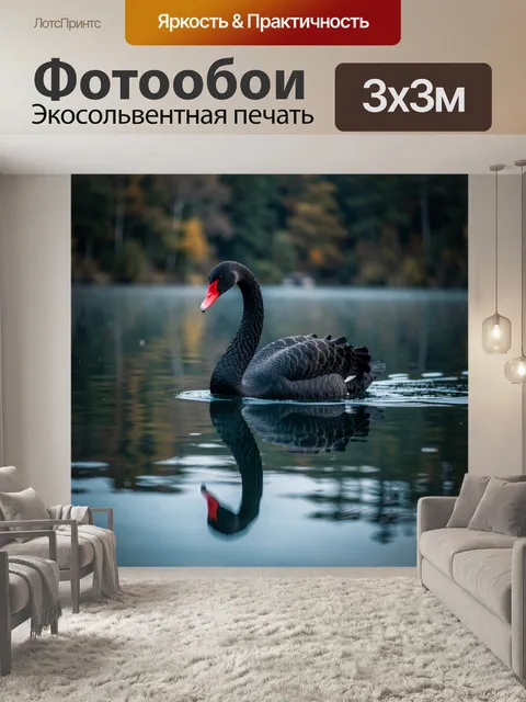Фотообои Черный лебедь на озере