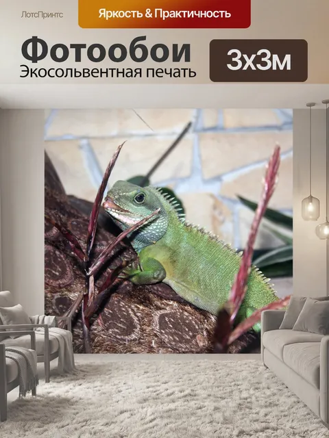 Фотообои Тропикана