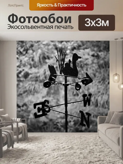 Фотообои Флюгер черный и белый