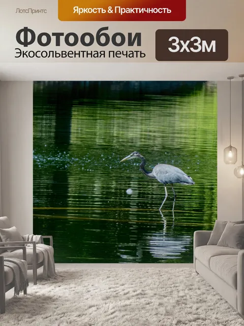 Фотообои Голубая цапля Зеленая вода