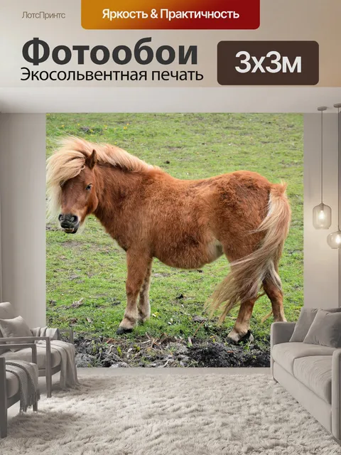 Фотообои Лошади и ферма пони