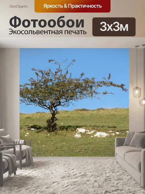 Фотообои Дерево