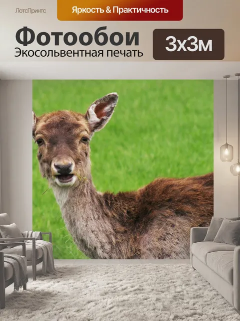 Фотообои Олень