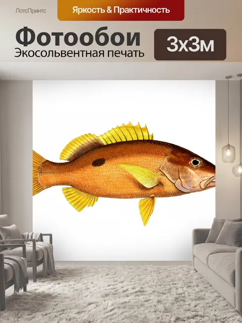 Фотообои Рыбный окунь Винтажное искусство