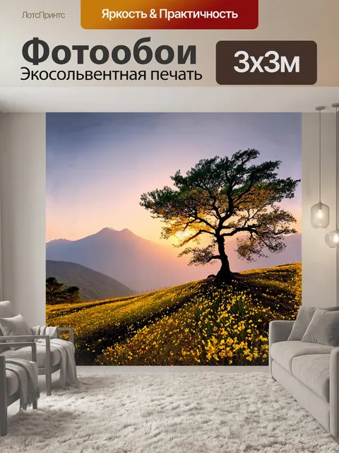 Фотообои ветвистый силуэт дерева на фоне восходящего солнца
