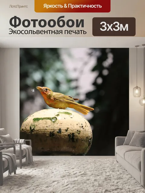 Фотообои Птица