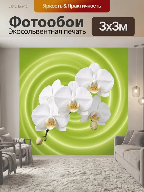 Фотообои Белые орхидеи на салатовом фоне