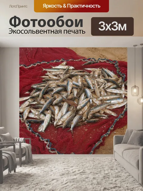 Фотообои Рыболовная сеть