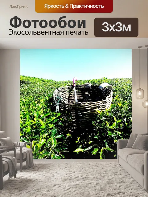Фотообои Чайная плантация
