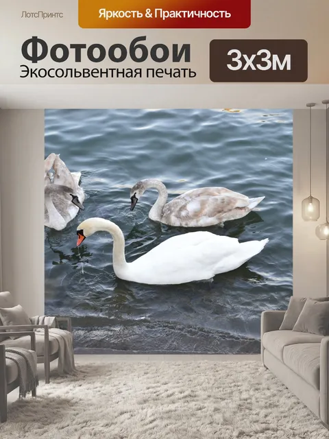 Фотообои Лебедь