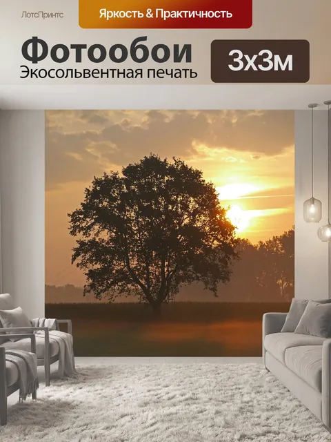 Фотообои Утреннее солнце