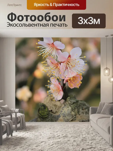 Фотообои Цветок сливы