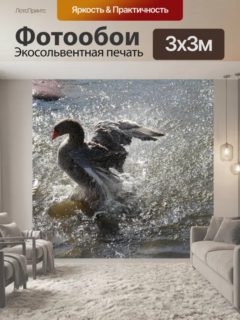 Фотообои Гусь
