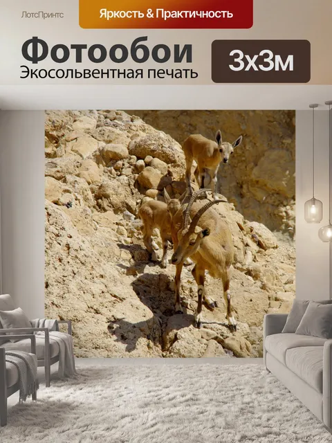 Фотообои Олененок прячется за мамой