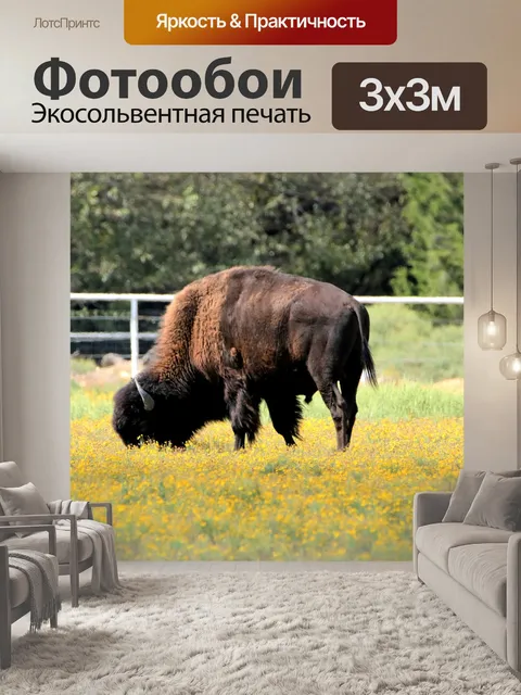 Фотообои Буйвол в желтых полевых цветов