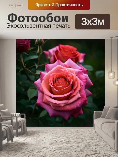 Фотообои розы в стиле тонализм, акцент на контрастах между светлыми и темными участками