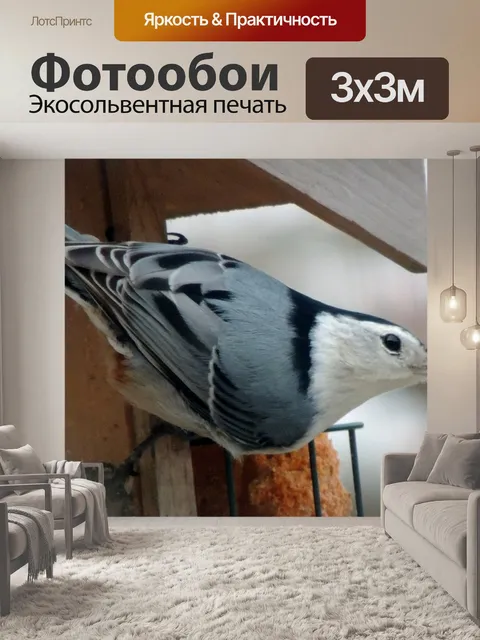 Фотообои черная и белая птица
