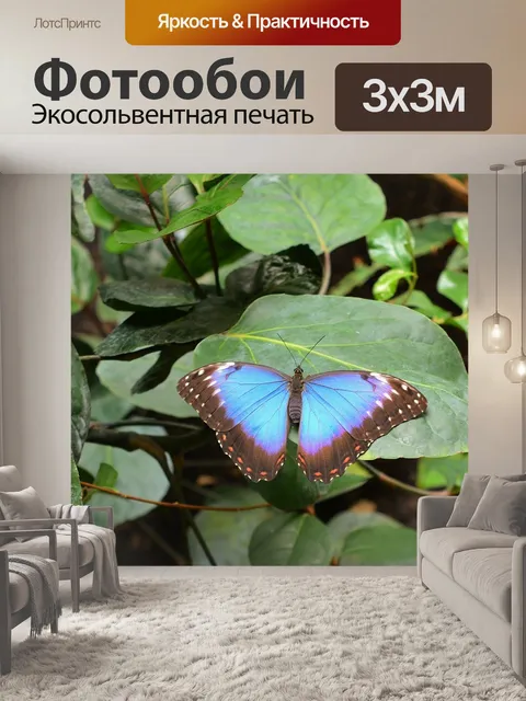 Фотообои Бабочка