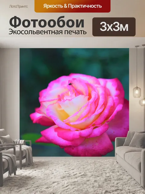 Фотообои Rose