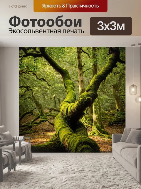 Фотообои описание: густой лес с скрученным деревом на первом плане, через которое пробивается солнечний свет