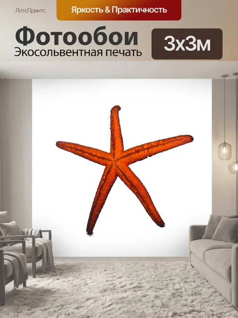 Фотообои Красная морская звезда