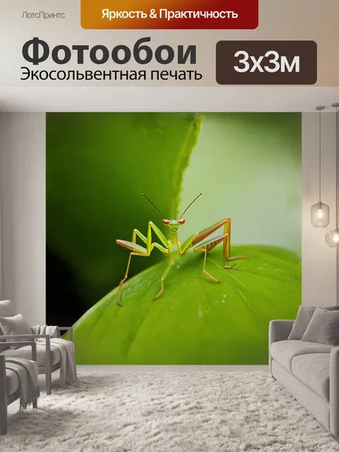 Фотообои богомол, идеальный хищник, терпеливо сидит на зеленом листе, его шипованные ноги готовы схватить ничего не…
