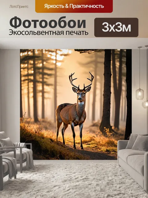 Фотообои олень стоит на краю леса