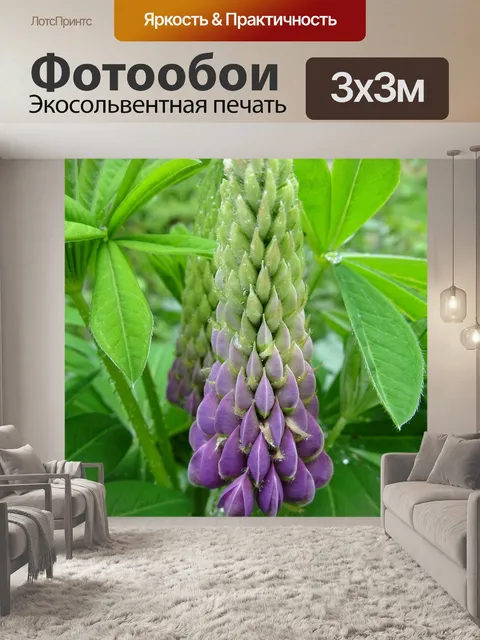 Фотообои Люпин