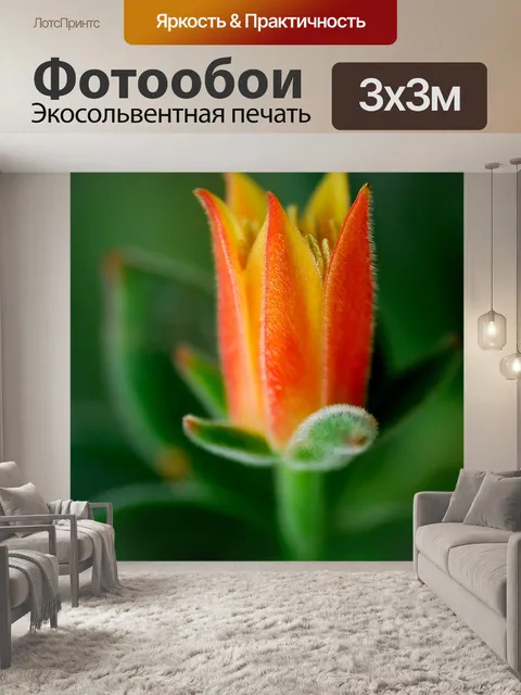 Фотообои Красивые цветы