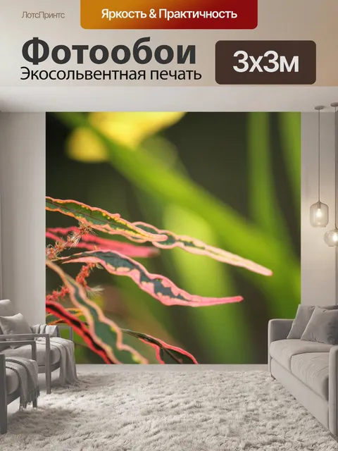Фотообои красные длинные листья
