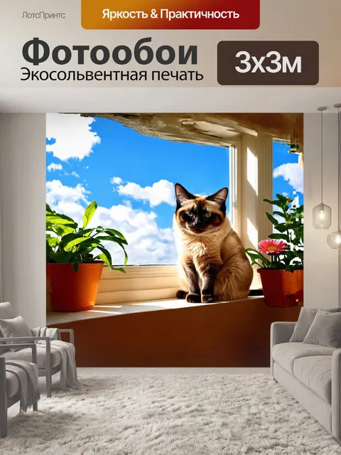 Фотообои сиамская кошка удобно устроилась на широком подоконнике