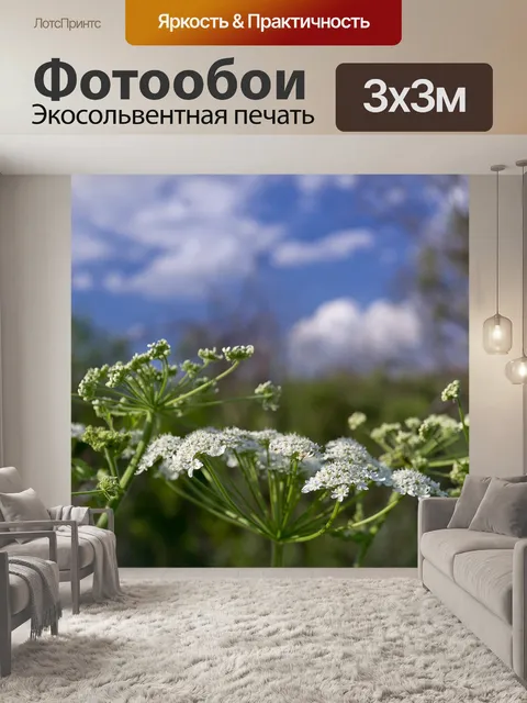 Фотообои Природа