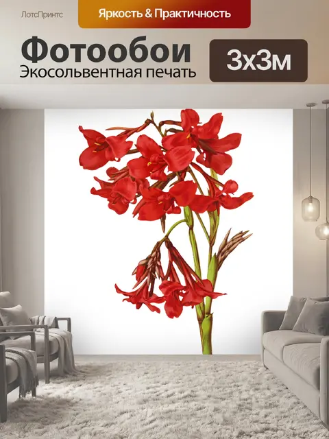 Фотообои Цветочный цветок старинное искусство