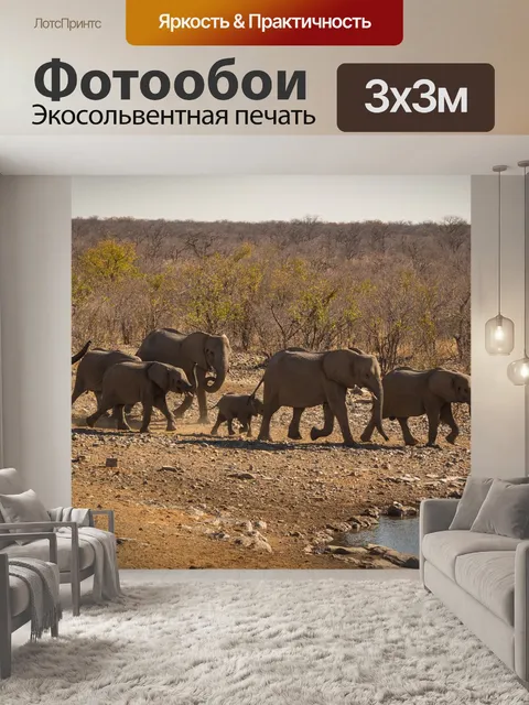 Фотообои Намибия