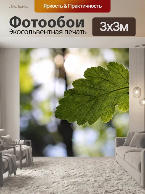 Фотообои Зеленый