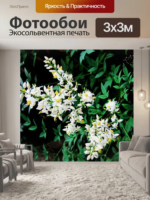 Фотообои Бутоны святой бамбука