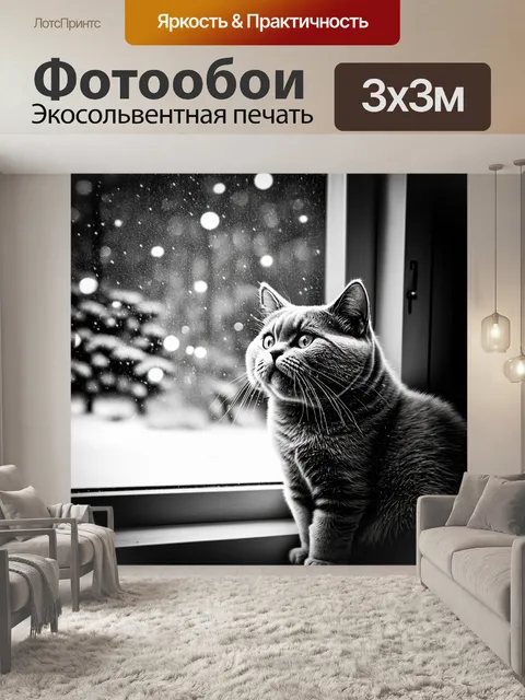 Фотообои сцена, где британская короткошерстная кошка наблюдает за падающим снегом из окна