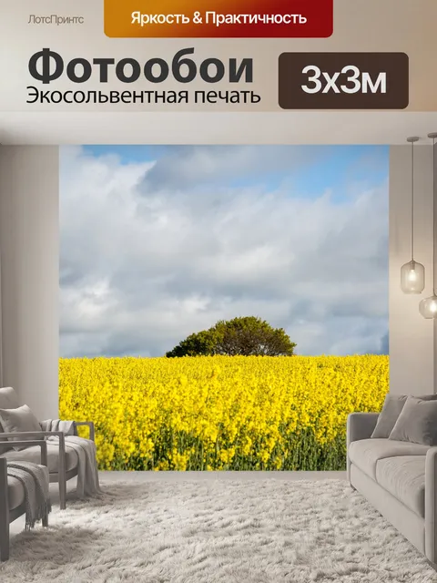 Фотообои Область желтого рапса